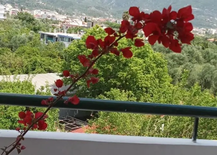 Sofias Zen 70 Sq2 Apartman